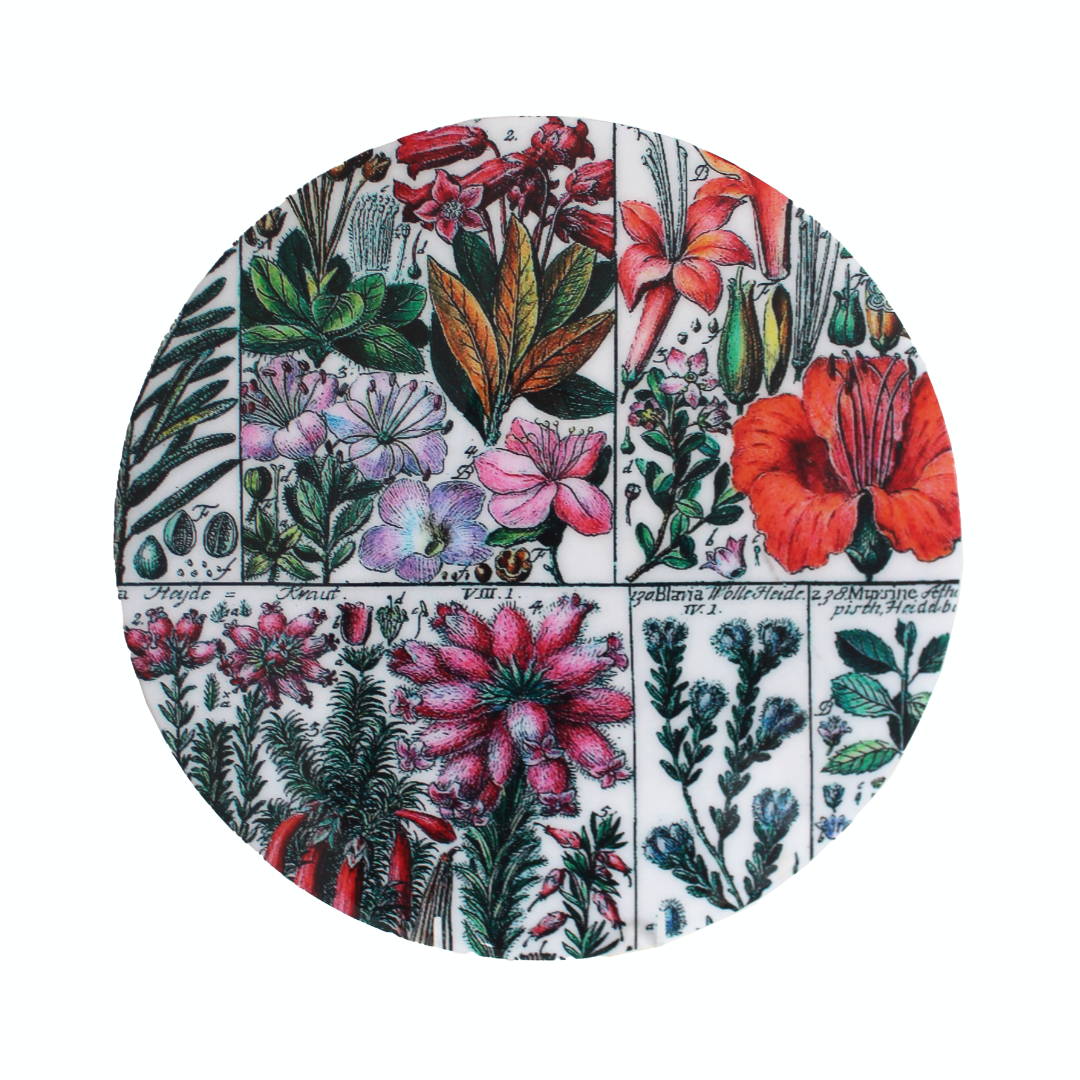 INDIVIDUALES HELICONIAS