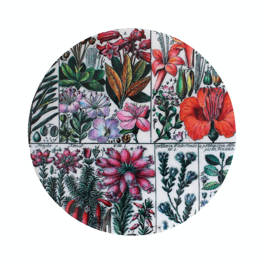 INDIVIDUALES HELICONIAS