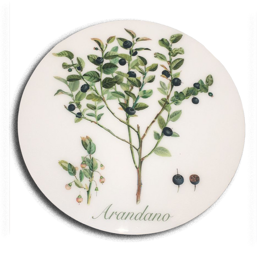 INDIVIDUALES REDONDO DE FRUTAS